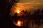 Old River Sunset - Part 2
Autori lanovi Foto Grupe