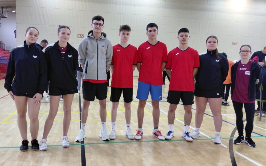 Županijski natjecanje u stolnom tenisu